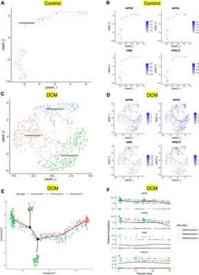 Integrated analysis of WGCNA and machine learning identified diagnostic biomarkers in dilated cardiomyopathy with heart failure